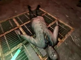 [S2][P9] Penumbra - Black Plague