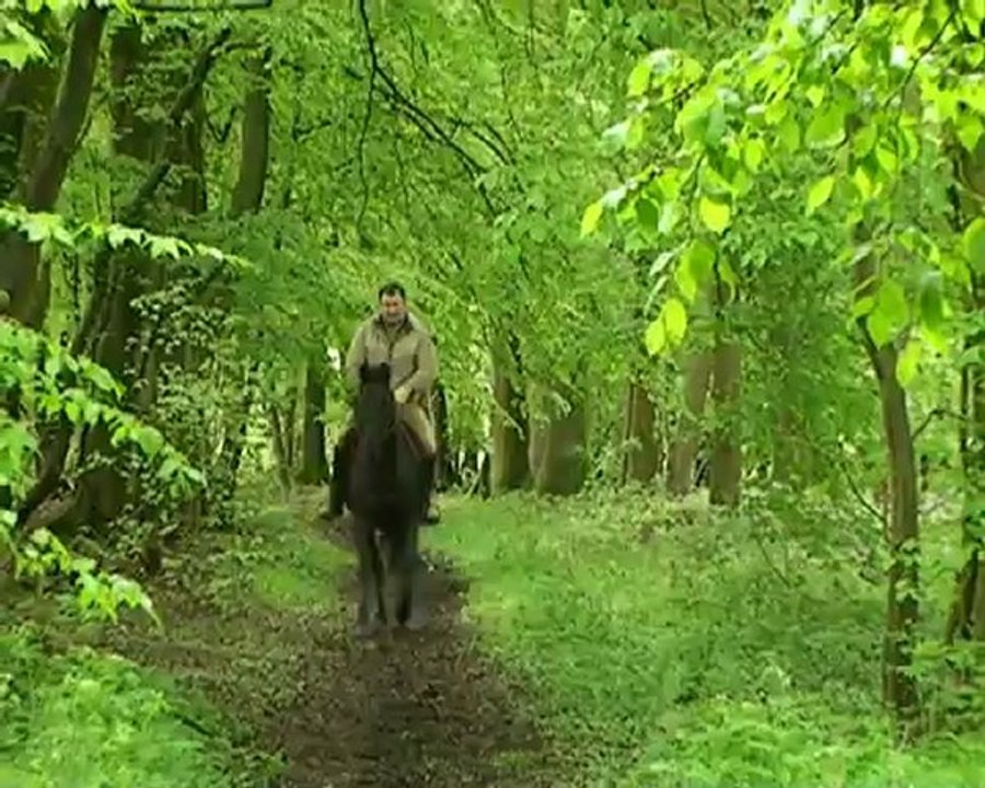 2chevaux