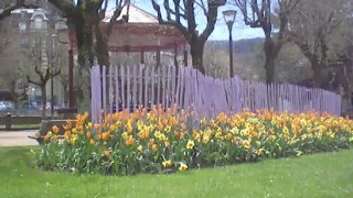 la Bourboule: Massif de tulipes au square Joffre