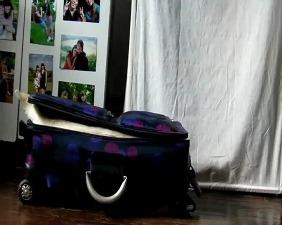 Dans la valise + ranger des objets