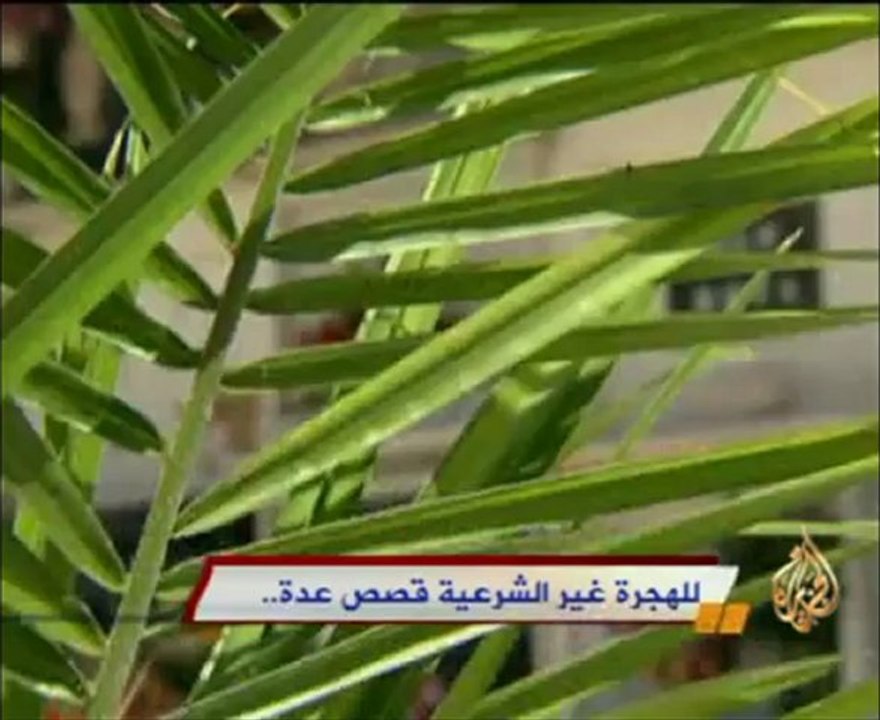 للهجرة الغير شرعية .. قصصص عدة