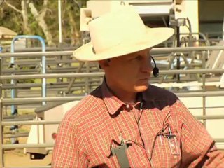 Buck Der Wahre Pferdeflüsterer - Trailer (Deutsch)