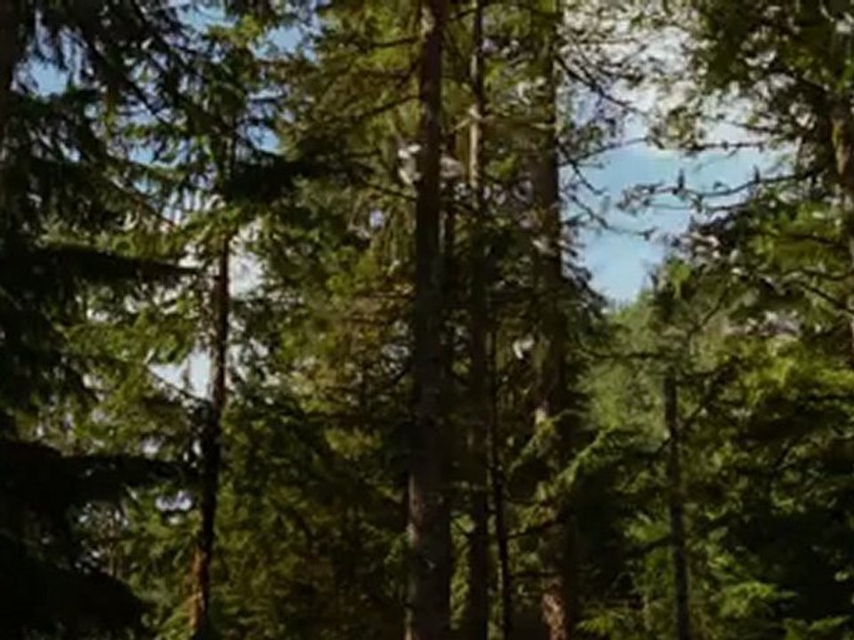Twilight Breaking Dawn 2 - Teaser Trailer 2 (English)