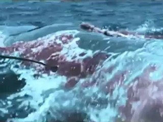 King of Devil's Island - Trailer (Deutsch)