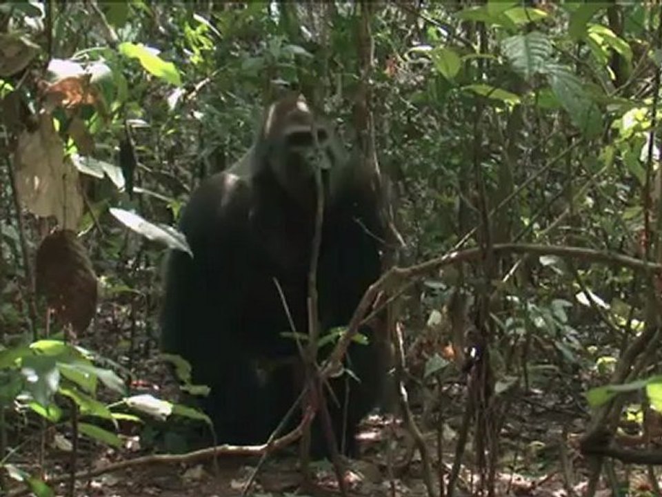 Unser Leben - Trailer (Deutsch)