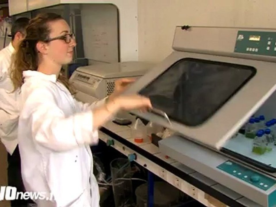 DES ALGUES DANS LES MOTEURS D'AVION