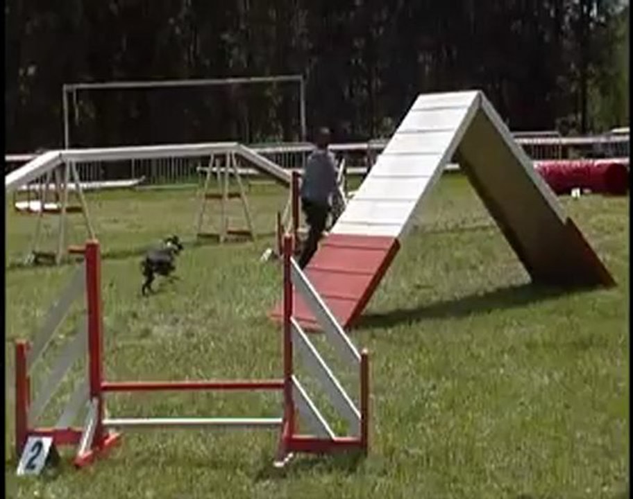 Agility Fever GPF Le vigan