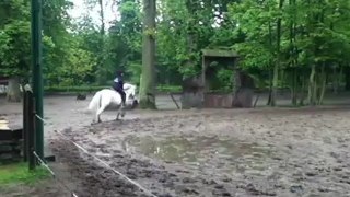 Galop avec Iago le 6 mai 2012 !