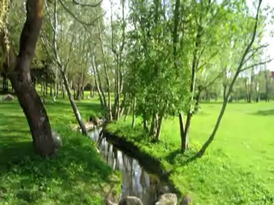 primavera (c) kretinga 2012