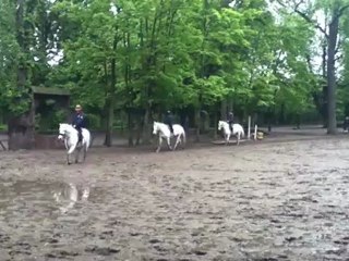 cours du  le 6 mai 2012 avec mon Iago d'amour !