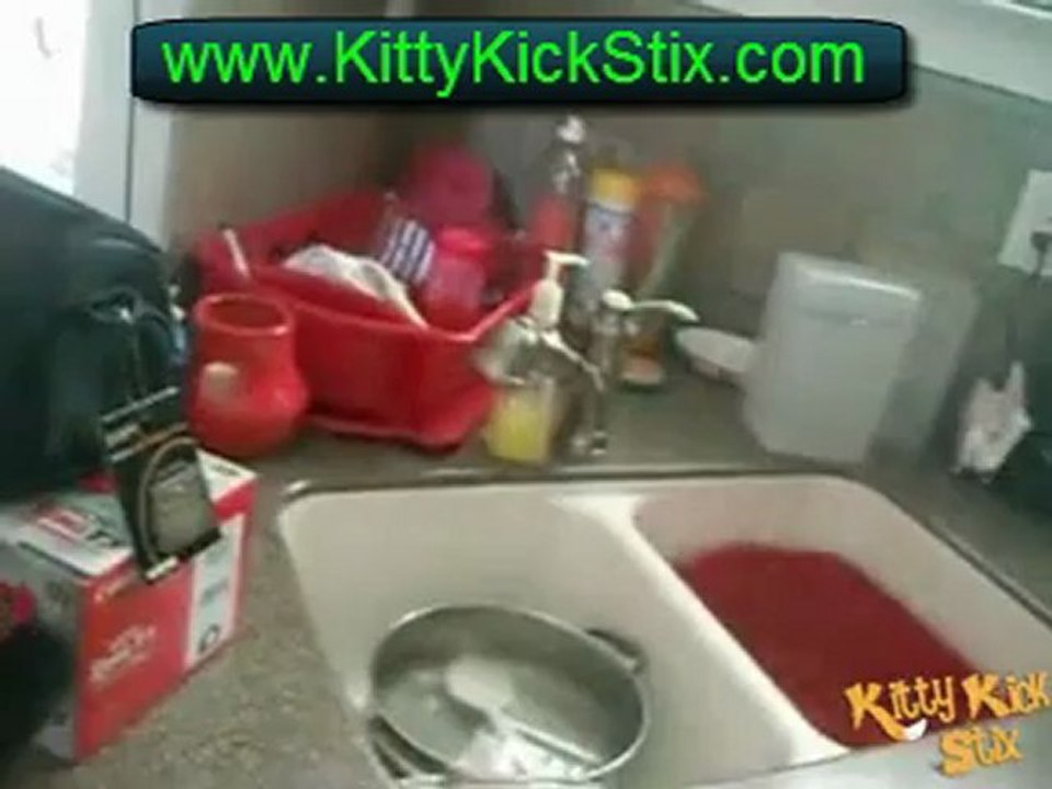 Large Catnip Toys - 100% Organic Cat Nip