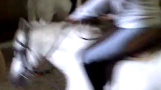 Mon premier cours d'équitation avec Lobo