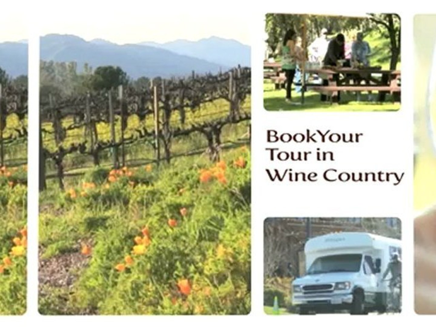 Top Wine Tour, Napa, California Wine Country, Visit Vineyards, Platypus stories