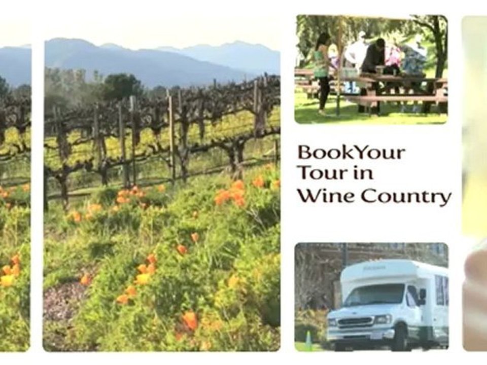 Napa Wine Tours, Sonoma, Explore Tasting Rooms, Platypus: Meet Darren