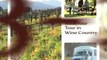 Vineyard tours beyond the big wineries, Cabernet, Merlot, Syrah, Chardonnay