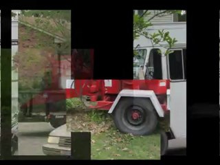 Chad Tree Experts Tree Removal!