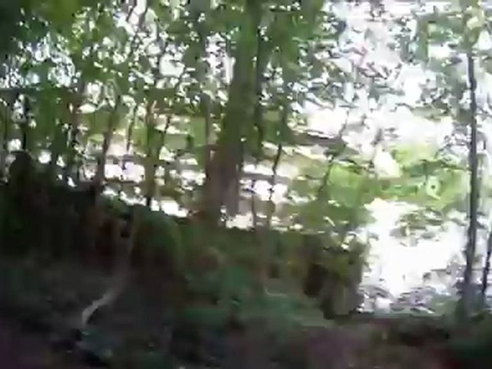 Liaison douce à Avon