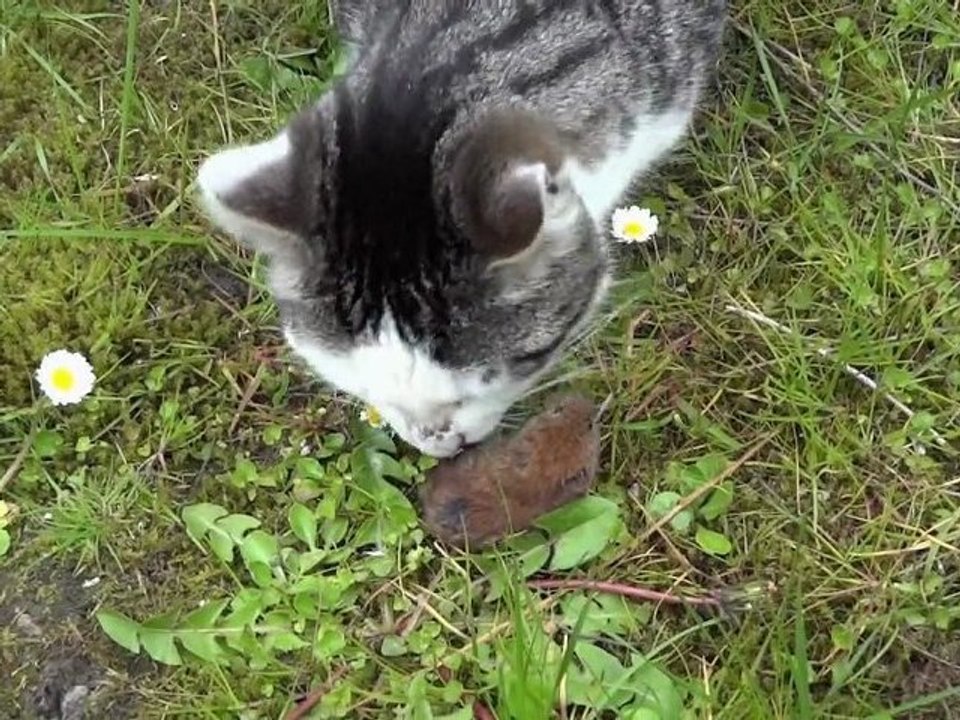 Meurtre au jardin