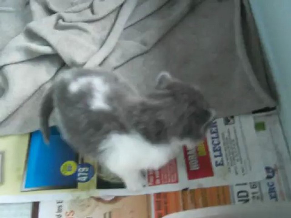 Griotte et Galak, 3 semaines