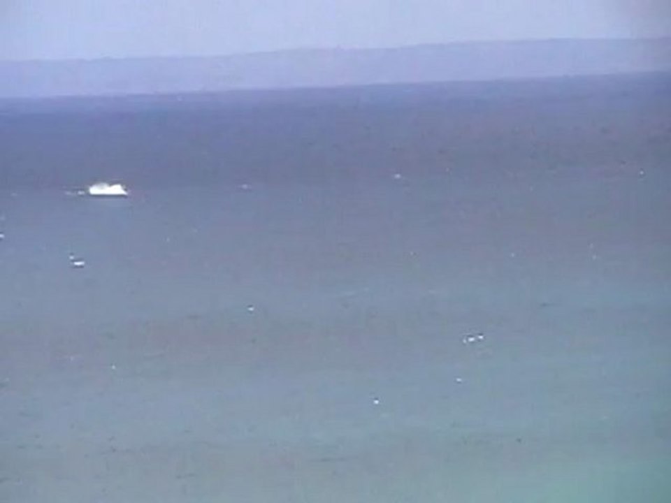 Baleines 1