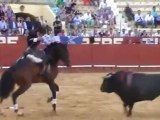 Primera de la Feria del Caballo de Jerez