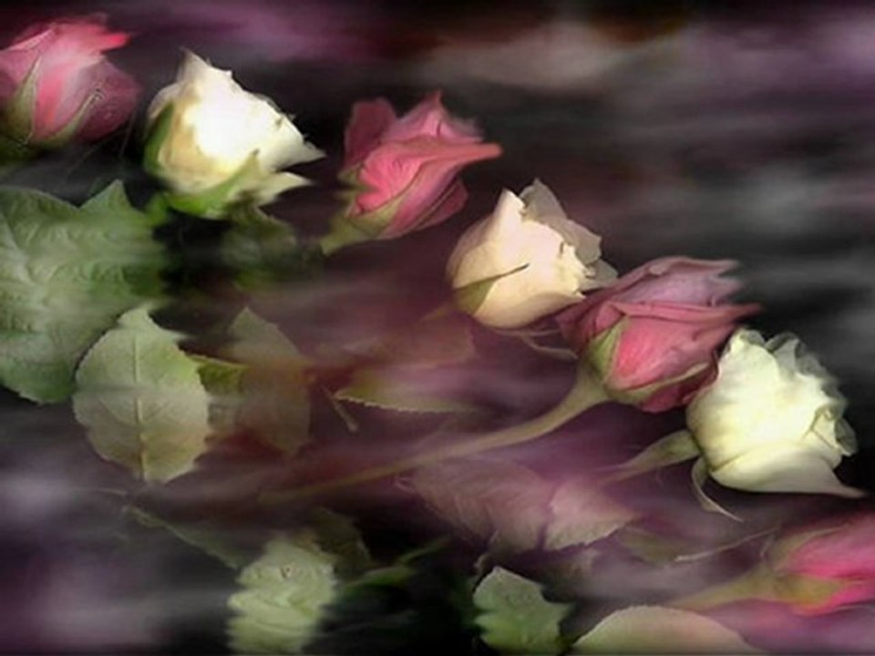 Güzel Âşık cevrimizi çekemezsin demedim mi!.. V.D.  Hala kızı pek seviyor bu cancazı...