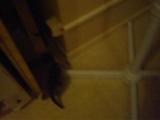 noce de jean louis 073