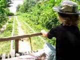 Cambodge, le bambou train