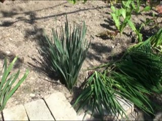 Les grands ensembles coréens - Ingénieur