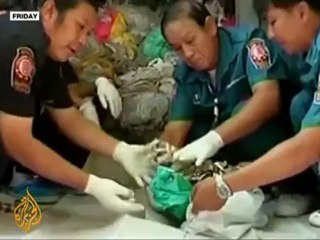 Thailand probes abortion scandal