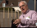 Déco Brico Jardinage : Planter un rosier grimpant