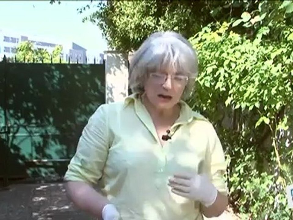 Déco Brico Jardinage : Faire un cadre en fer rouillé