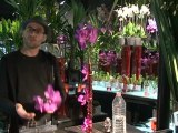 Déco Brico Jardinage : Décoration design : un soliflore d'orchidée