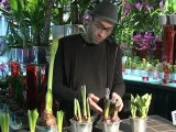 Déco Brico Jardinage : Entretenir une plante à bulbe