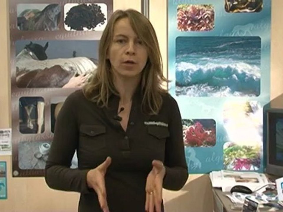 Vie Pratique : Equitation : préparer le cheval physiquement