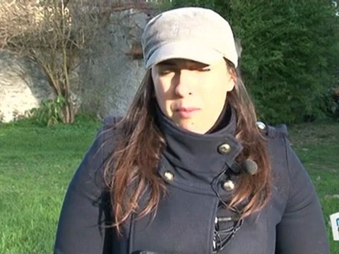 Vie Pratique : Choisir un chien et l'adopter