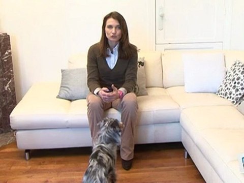 Vie Pratique : Clicker-training