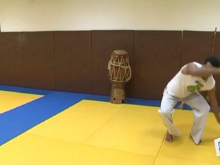 Sports Loisirs : La capoeira régionale