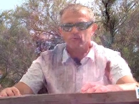 Sports Loisirs : Beach volley : le service