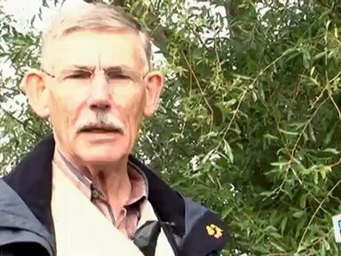 Sports Loisirs : Pêche : le repeuplement des cours d'eau