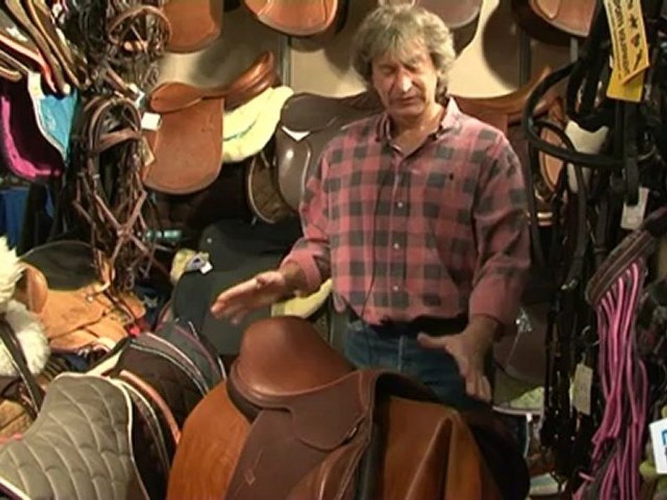 Sports Loisirs : Equitation : choisir la selle pour le cheval