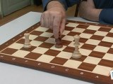 Sports Loisirs : Echecs : les situations particulières