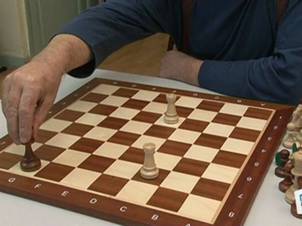 Sports Loisirs : Echecs : l'échec et l'échec et mat