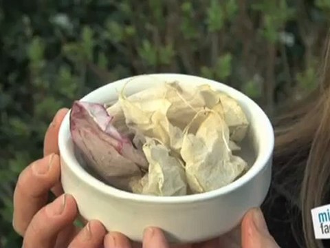 Déco Brico Jardinage : Comment acidifier un sol ?