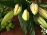 Déco Brico Jardinage : Apprendre à faire un bouquet de fleurs