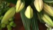 Déco Brico Jardinage : Apprendre à faire un bouquet de fleurs