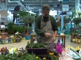 Déco Brico Jardinage : Comment créer une jardinière ?