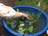 Déco Brico Jardinage : Faire un bassin à poissons pour jardin