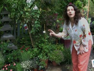 Déco Brico Jardinage : Entretien naturel du jardin avec la biodiversité