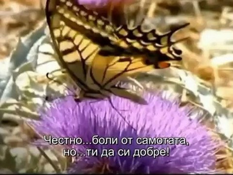 Nikos Oikonomopoulos - Kali Kardia ( Official Video) HD 2012- Превод